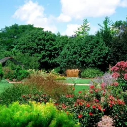 Luthy Botanical Garden - Peoria