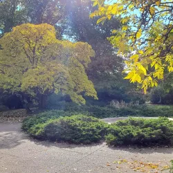 Luthy Botanical Garden - Peoria