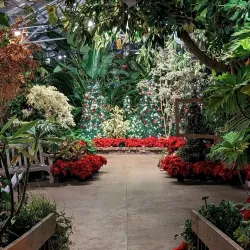 Luthy Botanical Garden - Peoria