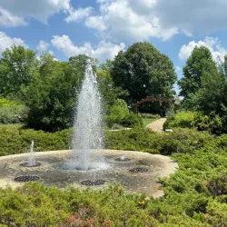 Luthy Botanical Garden - Peoria