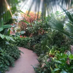 Luthy Botanical Garden - Peoria