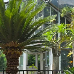 Luthy Botanical Garden - Peoria