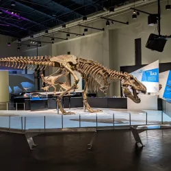 Peoria Riverfront Museum - Peoria