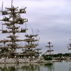 Bristol Ridge Forest Preserve - Plainfield