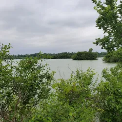Bristol Ridge Forest Preserve - Plainfield