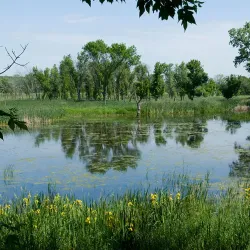 Lockport Prairie Nature Preserve - Plainfield