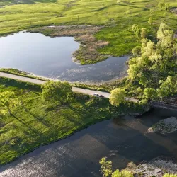 Lockport Prairie Nature Preserve - Plainfield