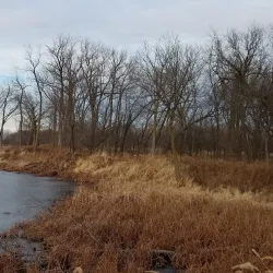 Lockport Prairie Nature Preserve - Plainfield