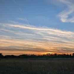 Lockport Prairie Nature Preserve - Plainfield