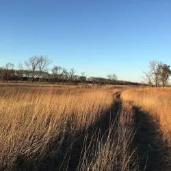 Lockport Prairie Nature Preserve - Plainfield