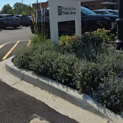 Plainfield Public Library - Plainfield