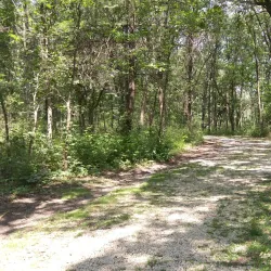 Plum Creek Nature Center - Plainfield