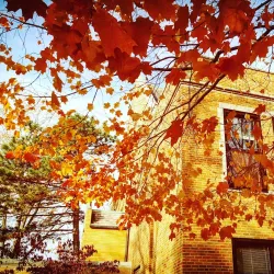 Augustana College - Rock Island