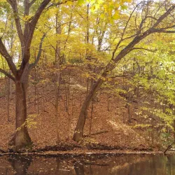 Augustana College - Rock Island