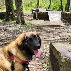 Sylvan Island Park - Rock Island