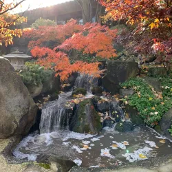 Anderson Japanese Gardens - Rockford
