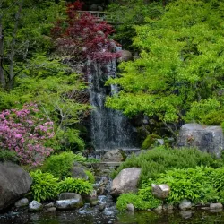 Anderson Japanese Gardens - Rockford