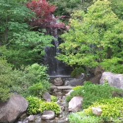 Anderson Japanese Gardens - Rockford
