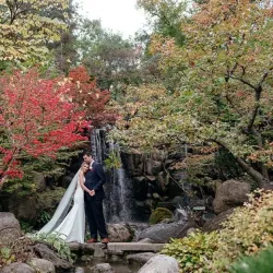 Anderson Japanese Gardens - Rockford