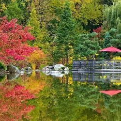 Anderson Japanese Gardens - Rockford