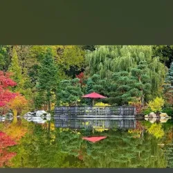 Anderson Japanese Gardens - Rockford