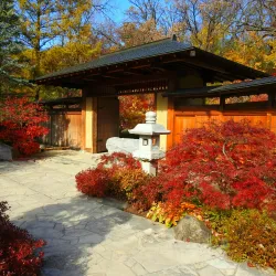 Anderson Japanese Gardens - Rockford