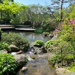 Anderson Japanese Gardens - Rockford