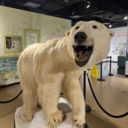 Burpee Museum of Natural History - Rockford