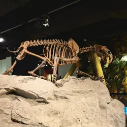 Burpee Museum of Natural History - Rockford