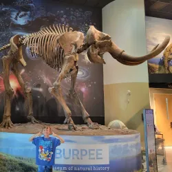Burpee Museum of Natural History - Rockford