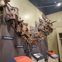 Burpee Museum of Natural History - Rockford