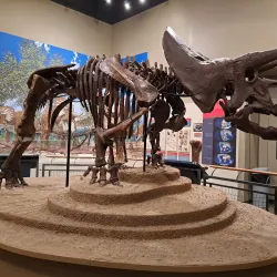 Burpee Museum of Natural History - Rockford