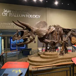 Burpee Museum of Natural History - Rockford