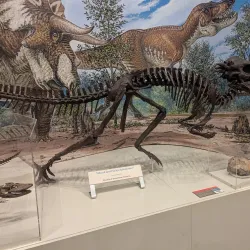 Burpee Museum of Natural History - Rockford