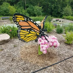 Klehm Arboretum & Botanic Garden - Rockford