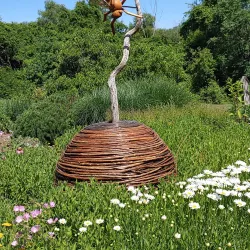 Klehm Arboretum & Botanic Garden - Rockford