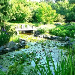 Klehm Arboretum & Botanic Garden - Rockford