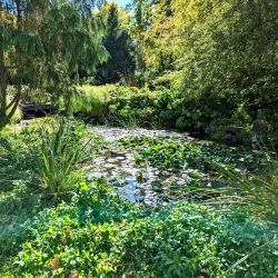 Klehm Arboretum & Botanic Garden - Rockford