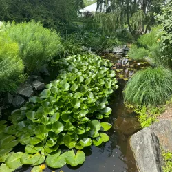 Klehm Arboretum & Botanic Garden - Rockford