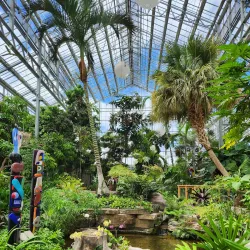 Nicholas Conservatory & Gardens - Rockford