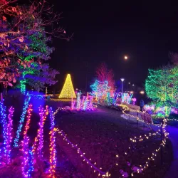 Nicholas Conservatory & Gardens - Rockford