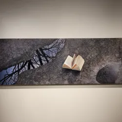 Rockford Art Museum - Rockford