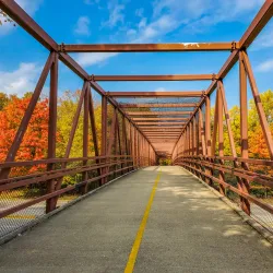 Busse Woods (Ned Brown Preserve) - Schaumburg