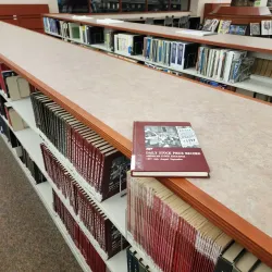 Schaumburg Township District Library - Schaumburg