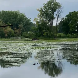Spring Valley Nature Center and Heritage Farm - Schaumburg