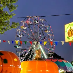Bureau County Fairgrounds - Spring Valley