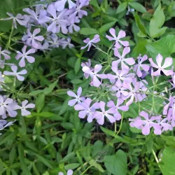 Rock River Recreation Path - Sterling