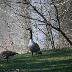 Rock River Recreation Path - Sterling