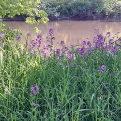 Rock River - Sterling