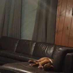 Sterling-Rock Falls Historical Society Museum - Sterling